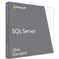 SQL Server Standard Edition 2019 English DVD 10 Client